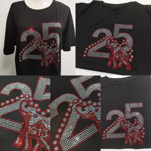 Delta 25 shirt