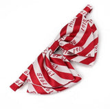 1913 Bow Tie