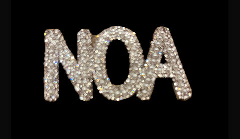 NOA Chapter Brooch