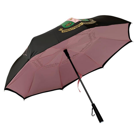 Lighted AKA Umbrella not sold online