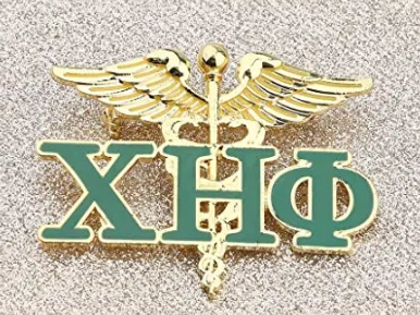 Chi Eta Phi Pin
