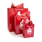 Delta Gift Bag set