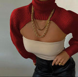 Turtleneck Sweater